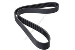 Renault Megane 1,9 Dizel Motor V Kayışı-8200078576