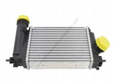 Turbo Radyatörü İntercooler Talisman Qashqai