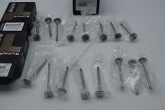 Subap Takımı Clio Megane HF5 H4B