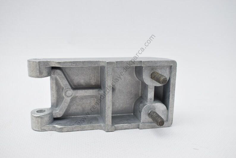 Express Bagaj Kapağı Menteşesi-7701042453