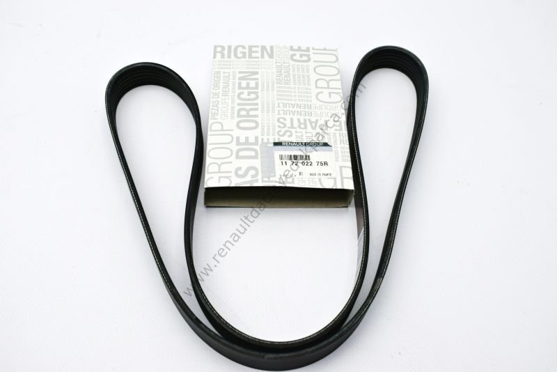 Alternatör V Kayışı Sandero-Clio-117202275R