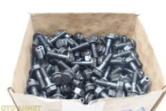 Külbütör Mil Civatası Clio Kangoo Megane 7700739225