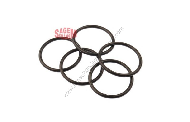 Termostat Oringi Renault Clio Kangoo Megane