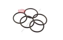 Termostat Sızıntı Contası Megane Clio Kangoo