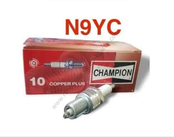 Buji Renault 9-11-19-21