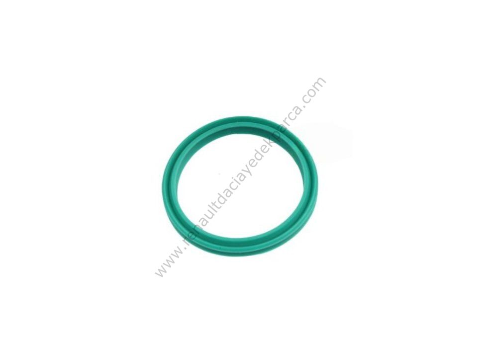 Turbo Borusu Oring Contası Trafic Master 7701066088