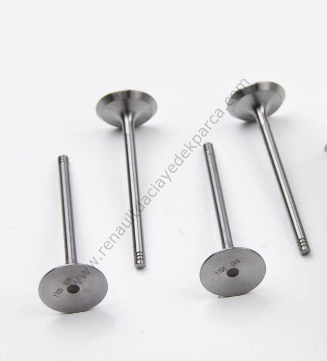 Sibob Takımı Ducato Renault Master