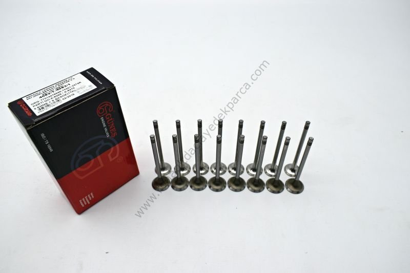 Motor Subap Takımı Trafic Latıtude X-Trail