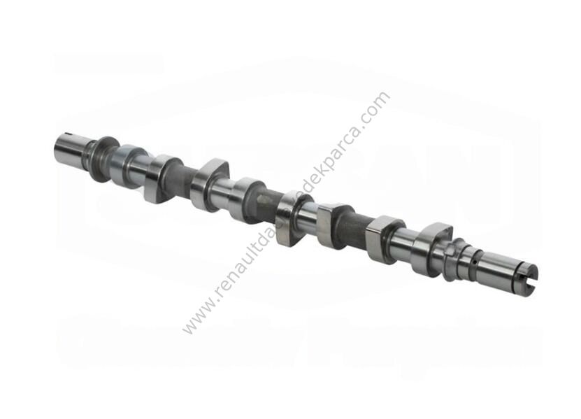 Laguna 3 Qashqai Eksantrik Mili-8200718120