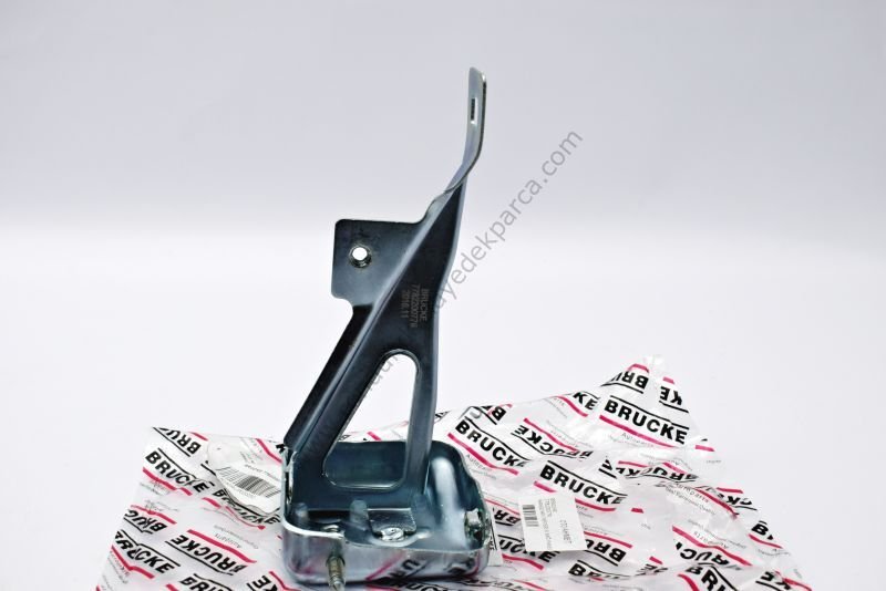 Renault Kangoo Kabut Menteşesi Panelde