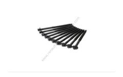 Silindir Kapak Civatası (Saplaması) Clio Megane Laguna 16 Valf