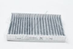 Polen Filitresi Renault Clio Symbol Karbonlu