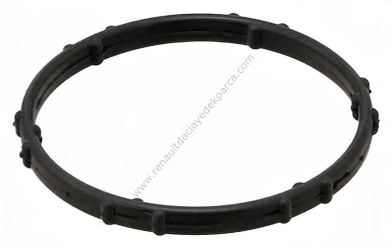 R9m 1,6 Dizel Termostat Su Kutu Contası 110625423R