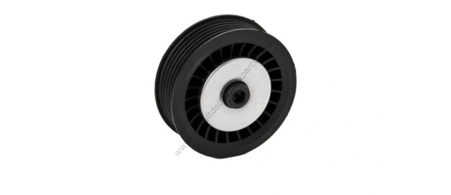 Alternatör Gergi Bilyası Kangoo 3 Fluence 8200663046