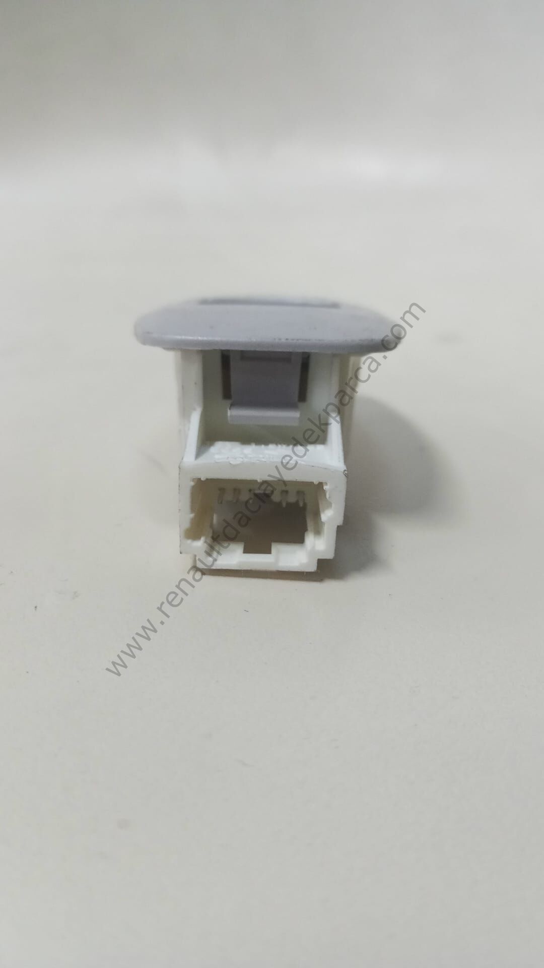 Tavan Lambası Renault Megane 4-Talisman 264301419R