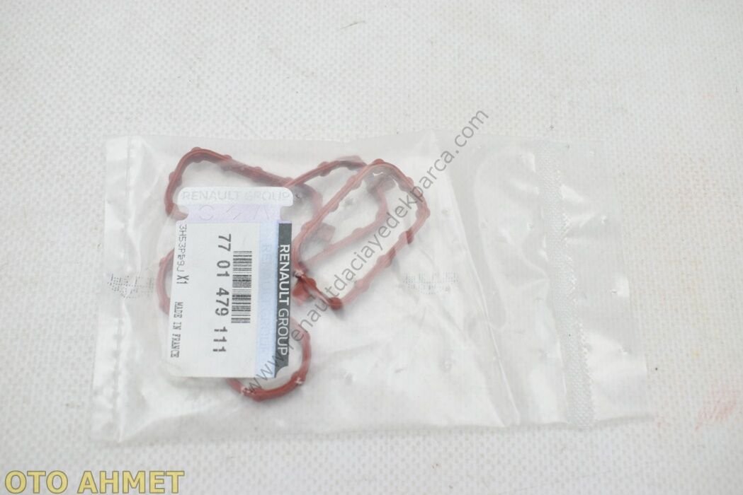 Yağ Dekantör Contası Master 3-7701479111