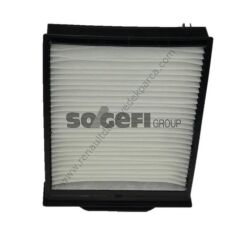 Polen (Klima) Filtresi Renault Megane 2