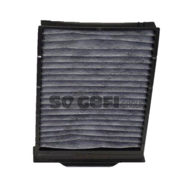 Renault Megane 2 Polen (Klima) Filtresi Karbonlu