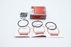 Sekman Kangoo Express R 19 Dizel 1.9 F8Q 1mm Takım Tek Pistonluk