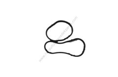 Yağ Soğutucusu Contası Trafic Latitude Dizel 7701062113