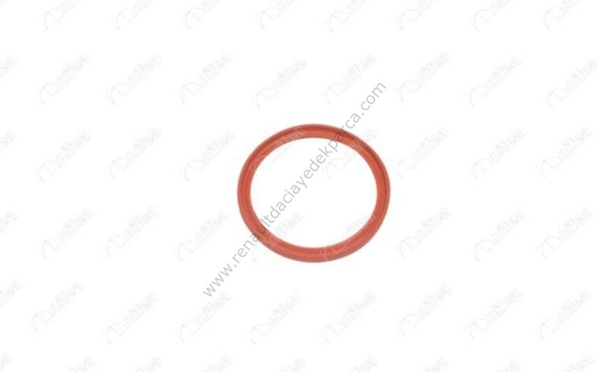 Laguna 3 Turbo Borusu Contası