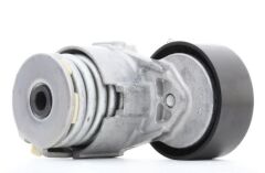 Alternatör Gergi Bilyası 1,5 Dizel 117501113R
