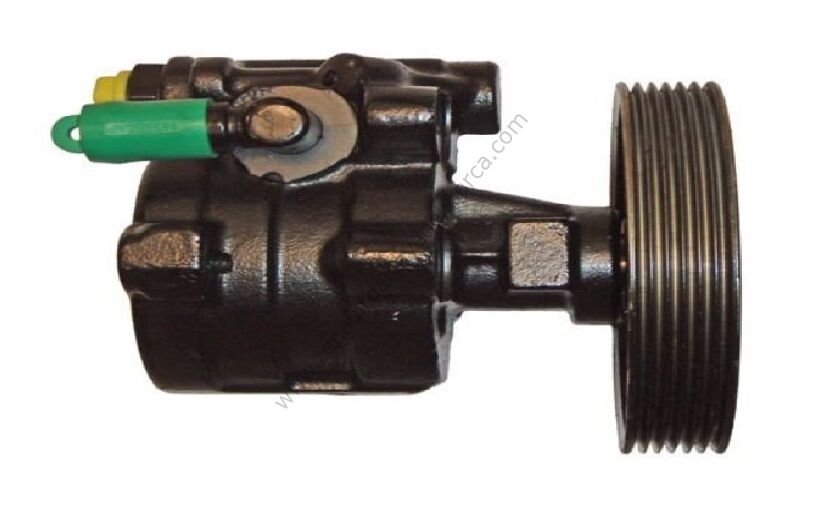 Direksiyon Pompası Renault 19 21 Megane