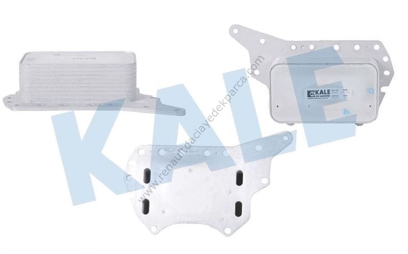 Motor Yağ Soğutucu 1.6 Dizel Megane 4 Trafic 3 Qashqai Koleos Kadjar