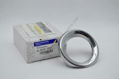 Renault Symbol Sis Kapağı Nikelajı