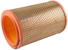 Renault 19 Hava Filtresi