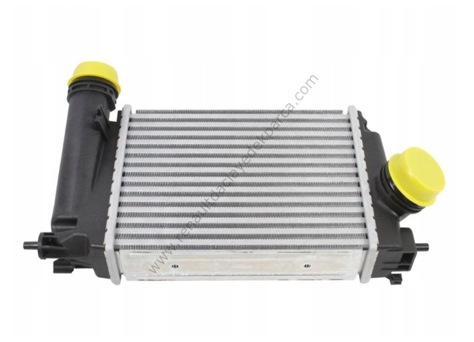 Duster 2 Captur 2 Clio 5 Turbo Radyatörü 144966668R