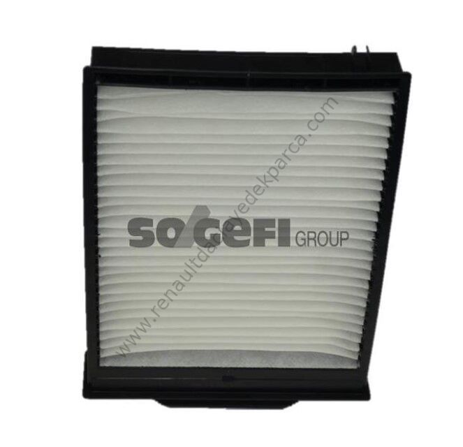 Polen (Klima) Filtresi Renault Megane 2