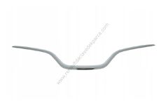 Captur Panjur Çıtası 620785099R