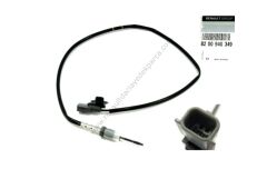 Partikül Filtresi Sıcaklık Kaptörü Master 8200940349