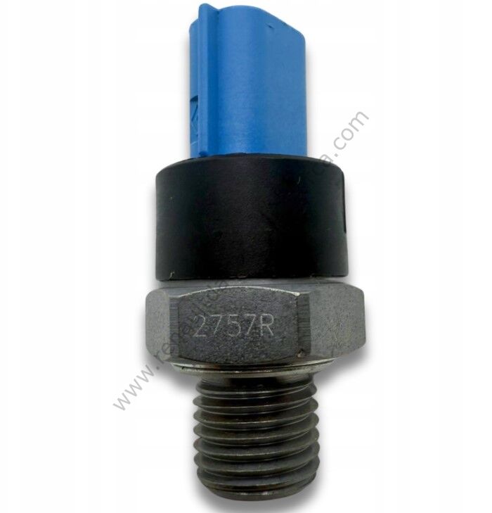 Yağ Müşürü Fluence Megane 252402757R