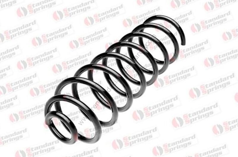 Arka Helezon Yayı Megane 2