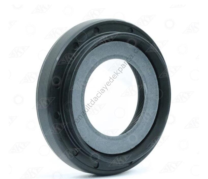 MEGANE 2 AKS KEÇESİ SAĞ